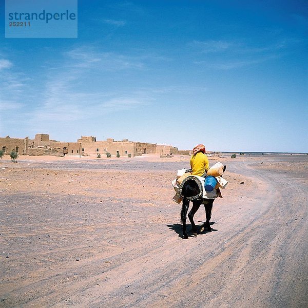10094420  Esel  Kind  Marokko  Nordafrika  sand Wüste Erg Chebbi  Wasser  Wüste  wild Dorfes Merzouga