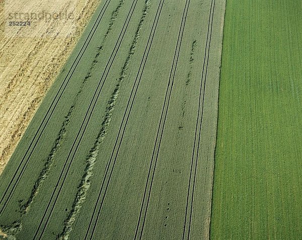 10102859  Ebenen  Ebenen  Felder  Landschaft  Landwirtschaft  vom Menschen verursachten  Kultur  Landschaft  Luftaufnahme  Luftaufnahme