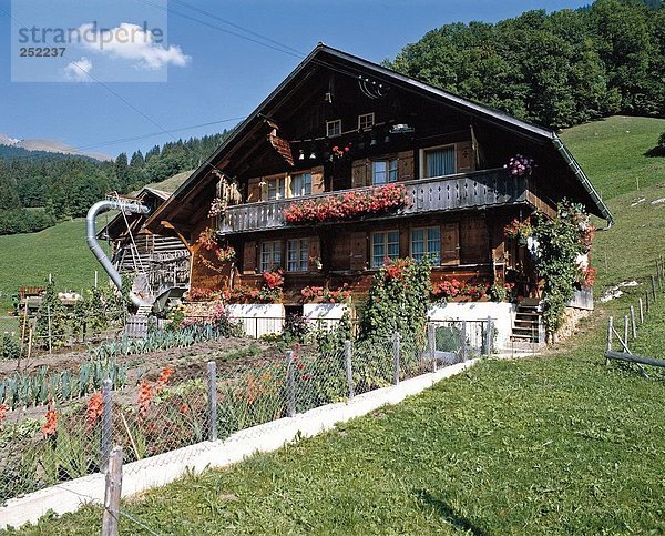 10114126  Folklore  Bauernhof  Berge  Bauernhäuser  Blumen  Garten  Schweiz  Europa