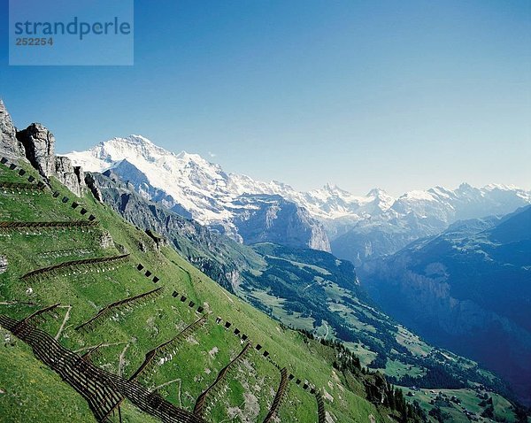 10120299  Jungfrau  Lawinen  Lawinen-Schutz  Schutz  Verbauung  Berge  Alpen  Alpen  Mountains  Schweiz  E