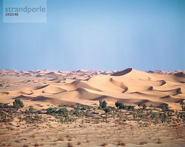 10194581  Algerien  Afrika  Nord-Afrika  Dünen  Landschaft  Oase  Beni Abbas  Palmen  Sahara  Wüste