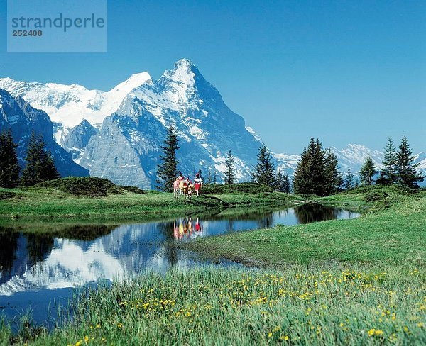 10267994  Schweiz  Europa  Mountainbike  Wandern  Mountain Lake  Berner Oberland  Blumen  Eiger  Berg  Familie  Grosse Sch