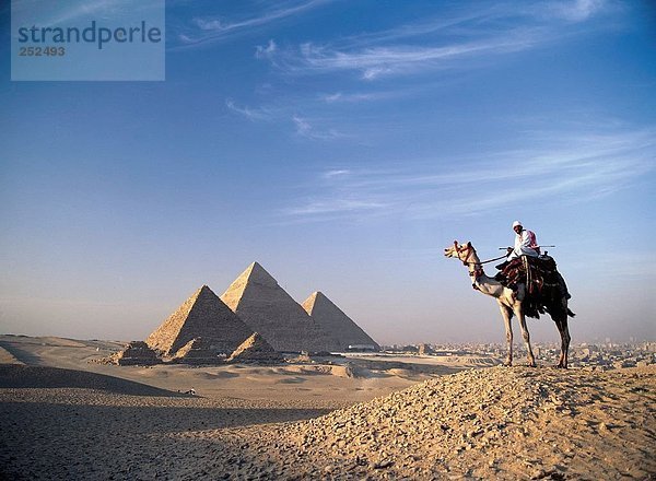 10380226  Ägypten  Nordafrika  Chephren  verziert  Gizeh  Pyramide  Fahrer  vorne  vor  Kamel