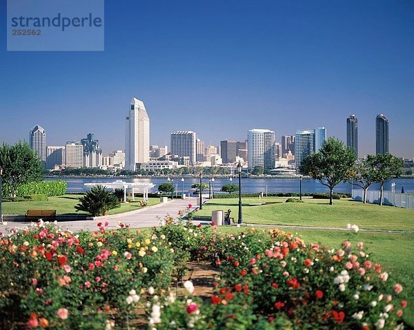 10479584  Kalifornien  California  Meer  San Diego  Skyline  USA  Amerika  Nordamerika  Park