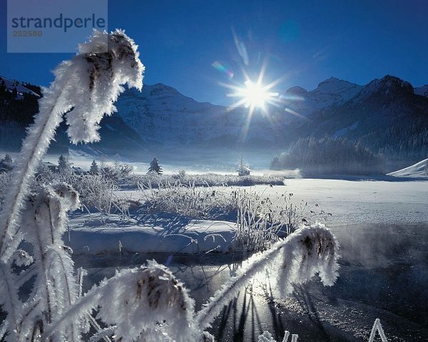 Landschaftlich schön landschaftlich reizvoll Europa Berg See Meer Eis Alpen Gegenlicht Frost Kanton Bern Bergsee Schweiz