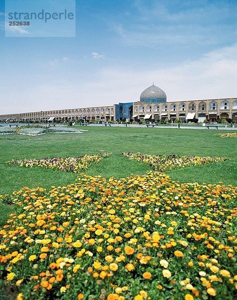 10560089  Blumen  Iran  Naher Osten  Isfahan  Masjed e Scheich Lotfallah Moschee  Meidun e Eman platzieren