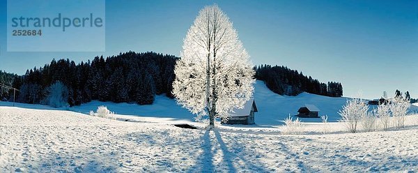 Weitwinkel Panorama Landschaftlich schön landschaftlich reizvoll Winter Baum Hügel Scheune Frost Stimmung