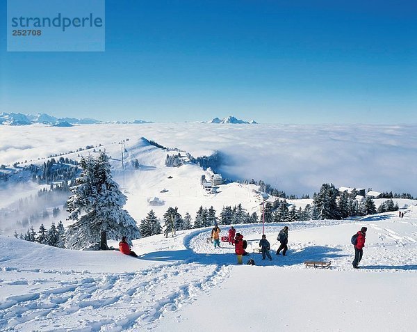 10643667  alpine  Alpen  Berge  Wintersport  Sport  Ansicht  Gruppe  Luzern  Meer Nebel  Rigi  Schlittelbahn  Schlitten  Switze