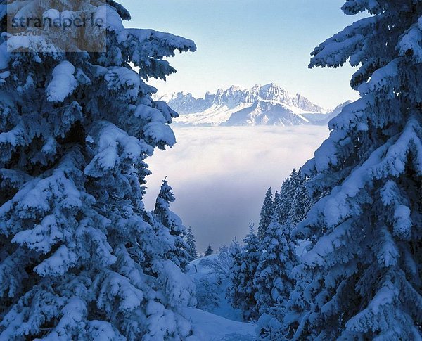 10643674  Landschaft  Alpen  Berge  Graubünden  Graubünden  Nebel  Meer Nebel  Schnee  Schweiz  Europa  Tannen  Winter