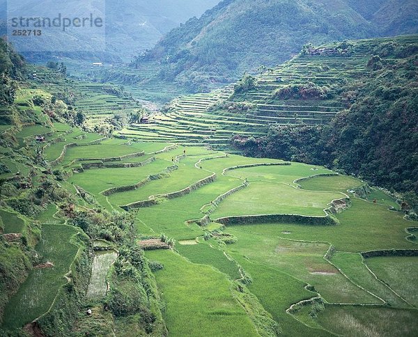 10643850  Hapao  Landwirtschaft  Nutzpflanzen  Philippinen  Asien  Reis  Reis-Terrassen  Tal  Überblick  UNESCO  kulturelle Welt