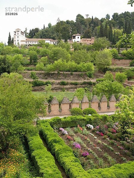 Kultivierte Feld nahe Palace  Alhambra  Granada  Andalusien  Spanien