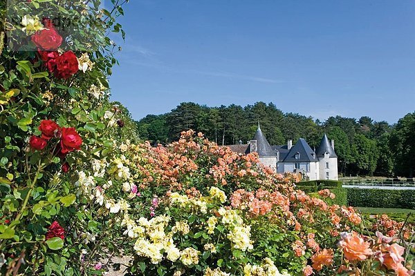 Garten vor Schloss  Chateau De La Chatonniere  Indre-Et-Loire  Frankreich