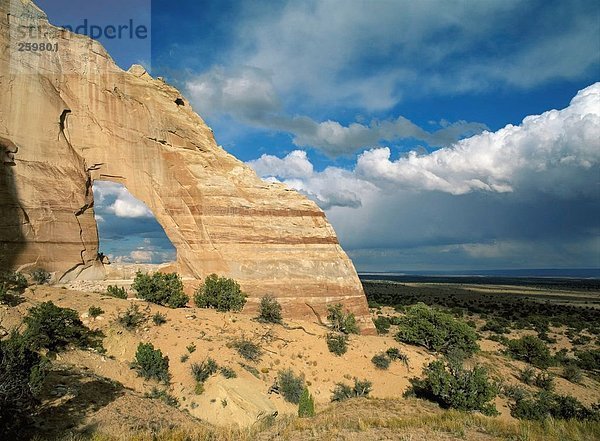 Reisen. Vereinigten Staaten von Amerika. Arizona. Landschaft