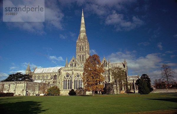 Reisen. Vereinigtes Königreich. England. Salisbury. Kathedrale von Salisbury.