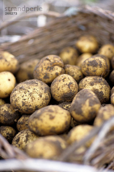 Kartoffeln im Korb  Nahaufnahme