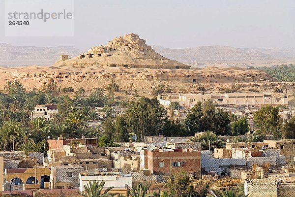 Gebäuden und Bäumen in der Stadt  zur Oase Siwa  Libysche Wüste Ägypten