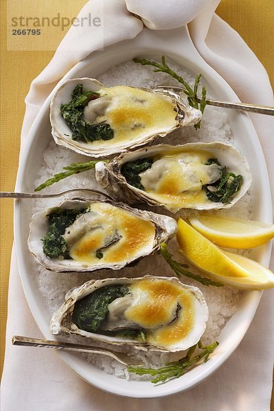 Überbackene Austern mit Käsecreme und Spinat auf Meersalz
