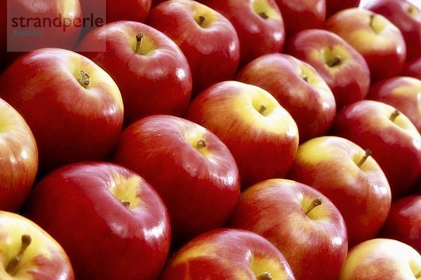 Viele rote Äpfel  bildfüllend