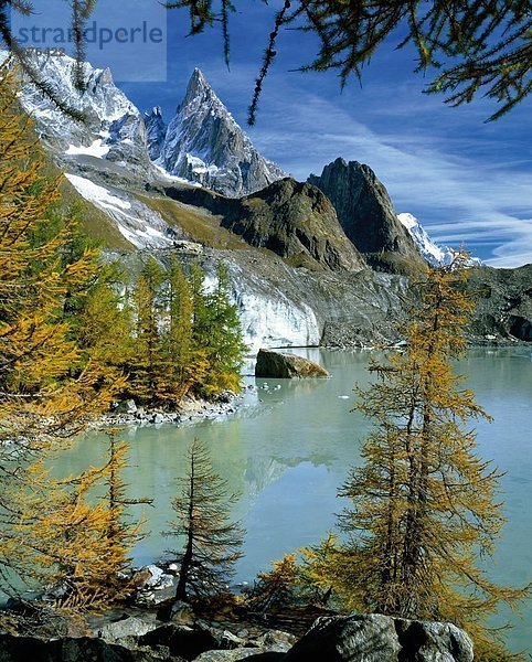 Berge spiegelt sich in Seewasser  Mont Blanc  Val Veny  Piemonte  Italien