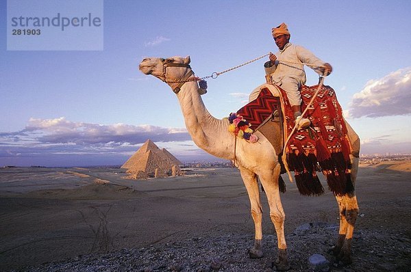 Junger Mann Kamel reiten in der Wüste  Giza Pyramide  Giza  Kairo  Ägypten