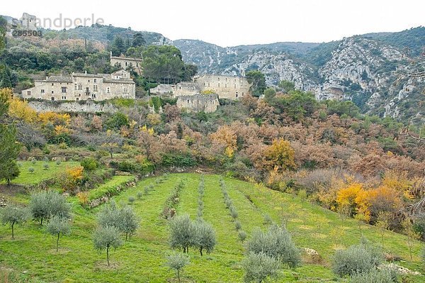 Dorf im Tal  Provence-Alpes-Côte d ' Azur  Frankreich