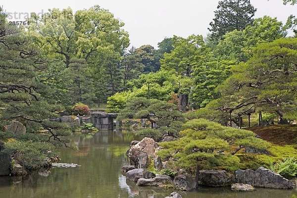 Bäume am Teich Seite  Präfektur Kyoto  Kinki Region  Japan