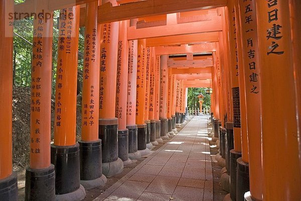 Fluchtpunktperspektive von Torii Gate  Fushimi Inari-Schrein  Kyoto  Japan