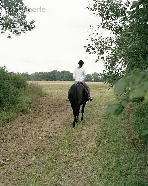 Eine Frau eine Rückansicht Pferd Reiten.