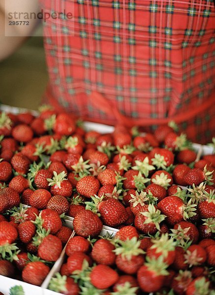 Erdbeeren in Feldern.