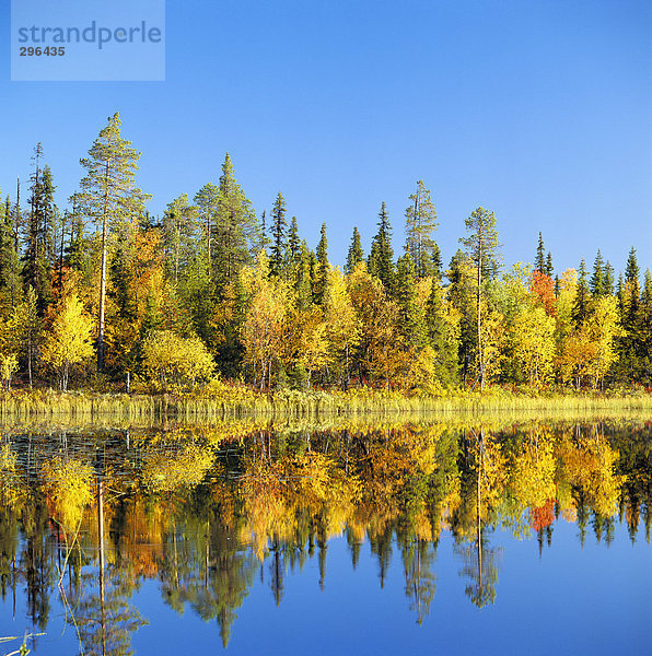 Herbst farbige Bäume auf einem ruhigen See reflektiert.