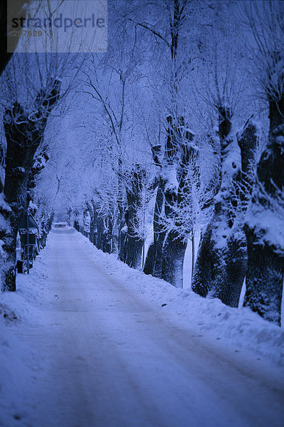 Eine Landstraße mit Schnee bedeckt.