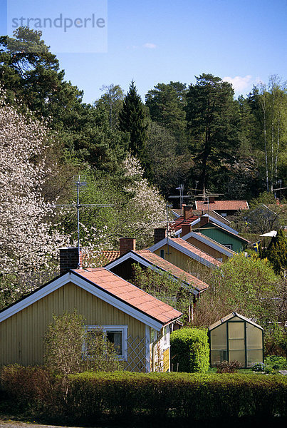 House roofs.