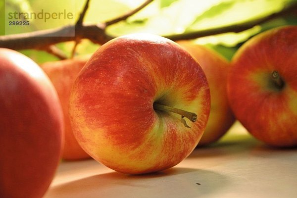 Zeile der rote Äpfel  Nahaufnahme