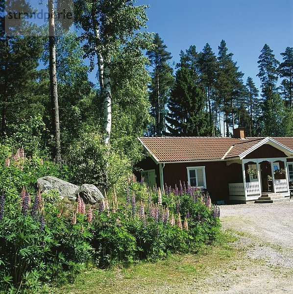 Fassade des Cottage  Schweden