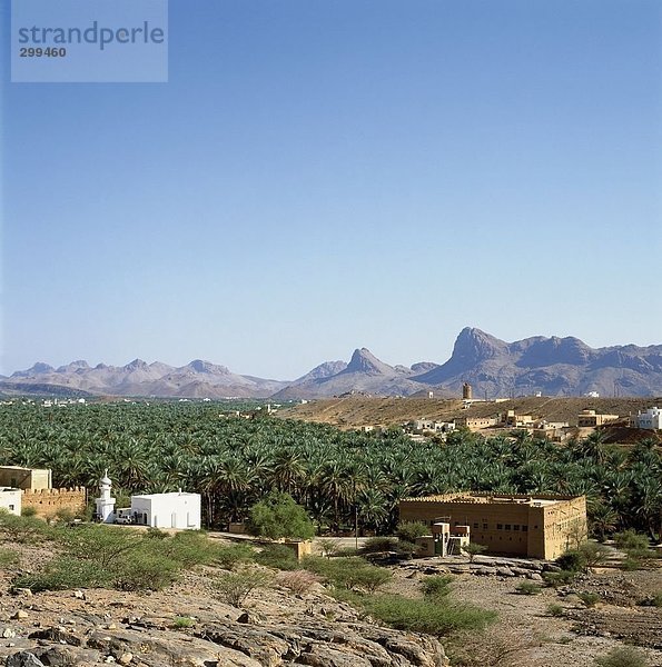 Palmen und Schlamm Gebäude auf Landschaft  Al Hamra  Oman