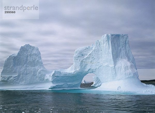 Eisberg floating in den Ozean  Grönland
