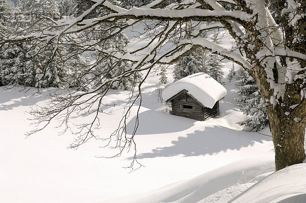 Austria  Salzburger Land  Hut in snowy landscape