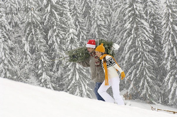 Couple in snow  man carrying Christmas tree  woman pulling sledge