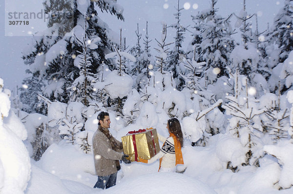 Junges Paar mit Geschenk im Schnee