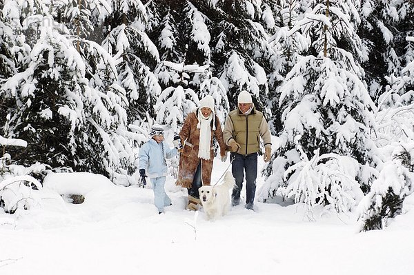 Österreich  Salzburger Land  Eltern und Sohn (6-7) mit Hund im Schnee laufen