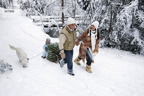 Österreich  Salzburger Land  Familie mit Hund und Weihnachtsbaum auf dem Schlitten
