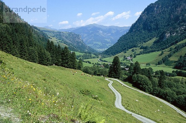 Blick über die Landschaft in Österreich.