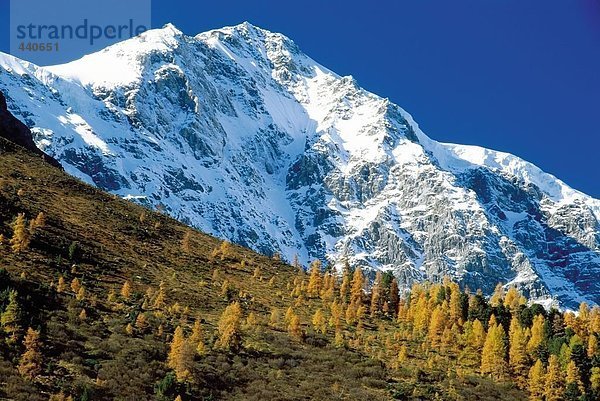 Untersicht schneebedeckten Berg  Mt Ortler  Stilfser Joch  Nationalpark Stilfserjoch  Südtirol  Italien