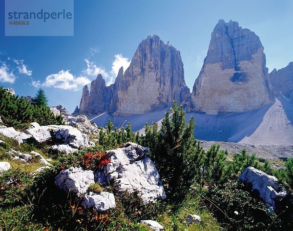 Felsformationen auf Landschaft  Tre Cime di Lavaredo  Dolomiten  Italien