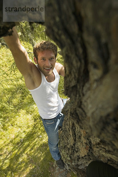 Junger Mann klettert auf Baum  erhöhte Ansicht