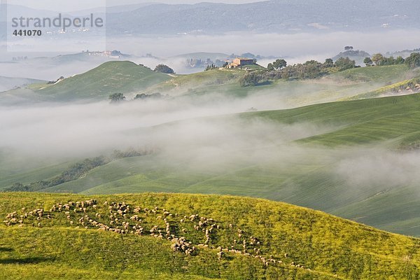 Italy  Tuscany  misty landscape