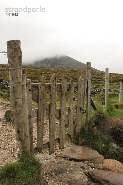 Zaun auf Landschaft  Croagh Patrick  County Mayo  Irland