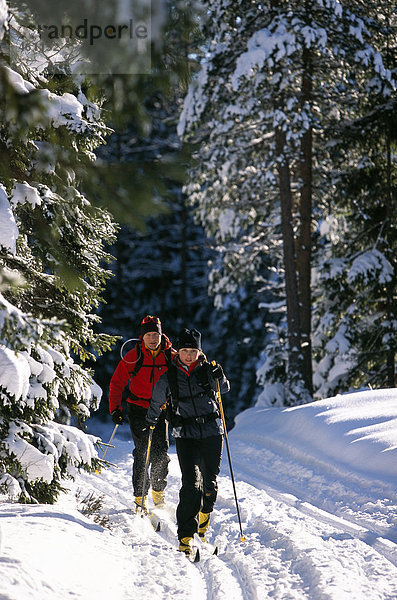 Zwei Skifahrer ich Wintertag.