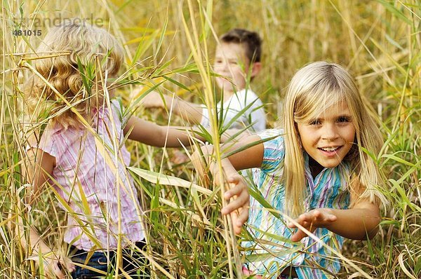 Bruder und Schwestern spielen im Feld