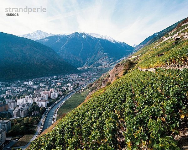 10031281  Berge  Martigny  Rhone  Rhône-Tal  Schweiz  Europa  teilweise  Überblick  Wallis  Weingarten